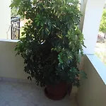 Olga * Agios Georgios (Corfu)