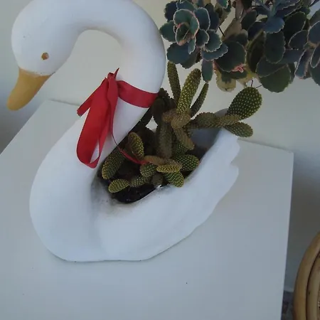 Olga Apartment *