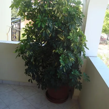 Olga * Agios Georgios (Corfu)